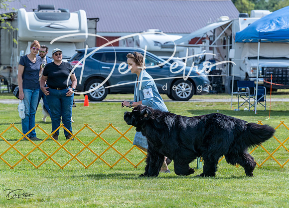 20230512-DSC05170