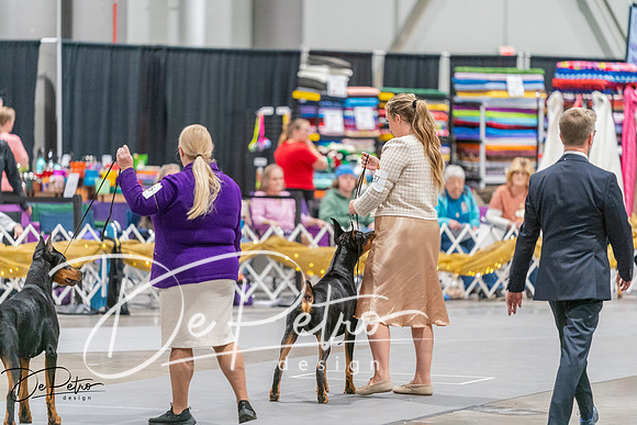 20260927-DSC05401