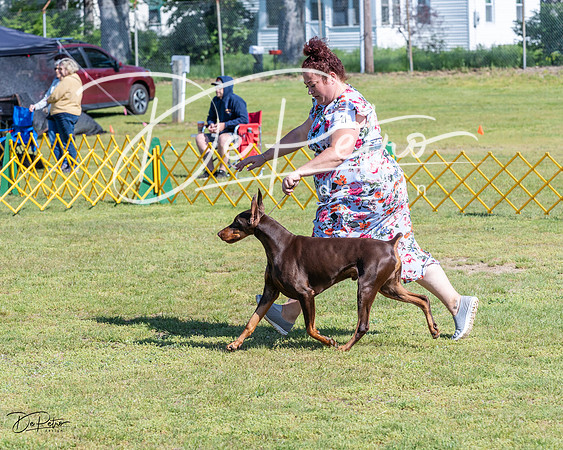 20230514-DSC03153