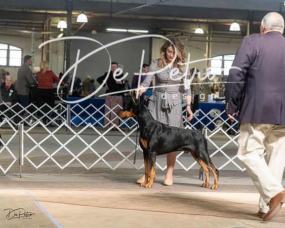 20230402-DSC09038
