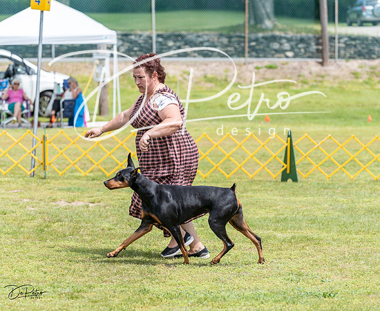 20230513-DSC08455
