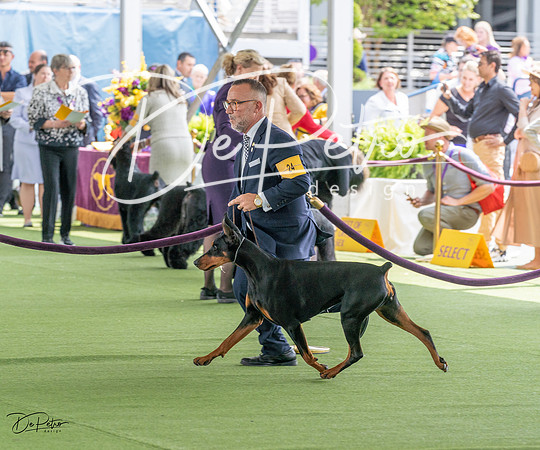 20230509-DSC01436