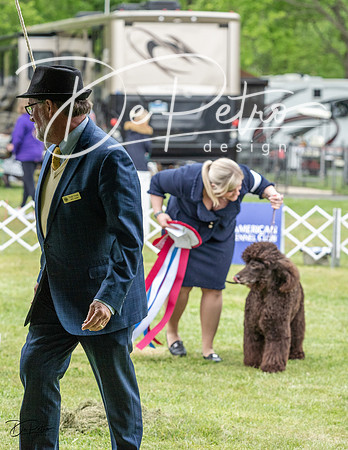 20230427-DSC07589