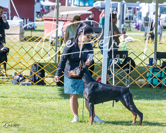 20230514-DSC02937
