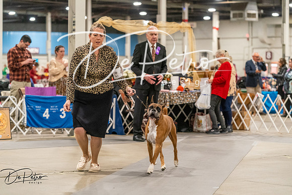 20261023-DSC05399