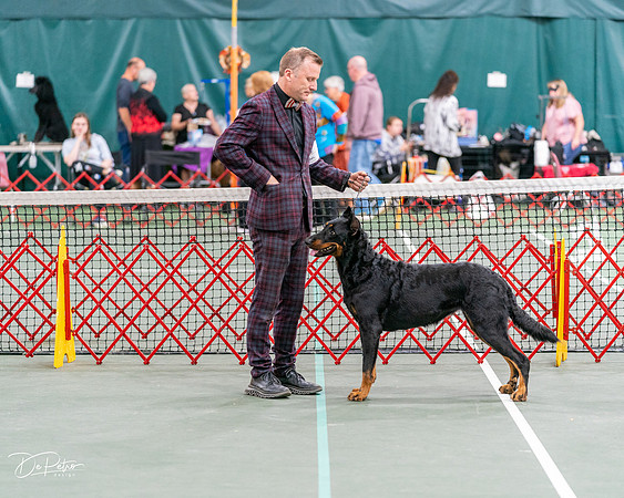 20261017-DSC08498