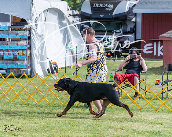 20230513-DSC01081