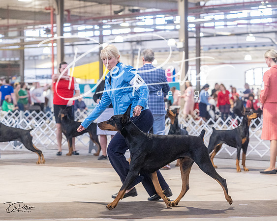 20230401-DSC06508
