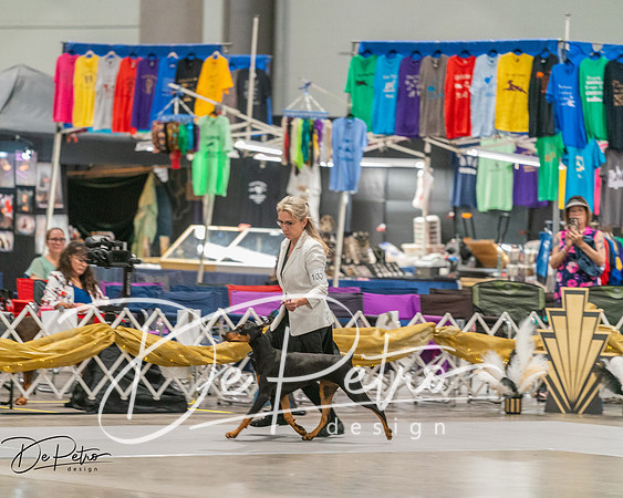 20260927-DSC05198