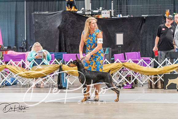 20260930-DSC06752