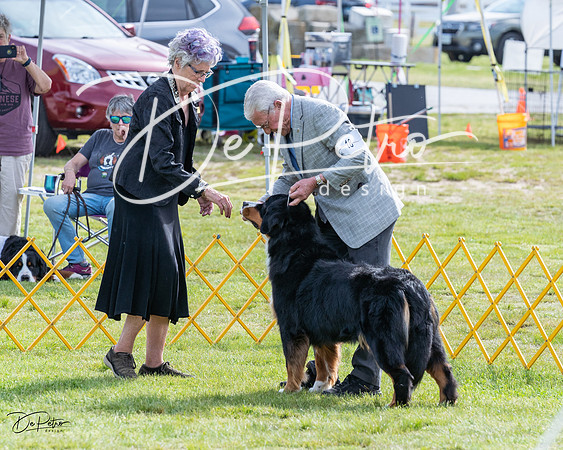 20230513-DSC00915