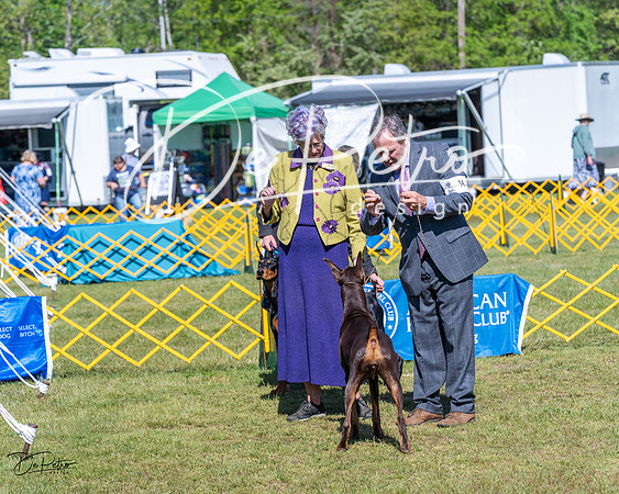 20230514-DSC03354