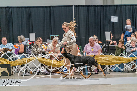 20260927-DSC05316