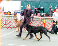 20261017-DSC08412