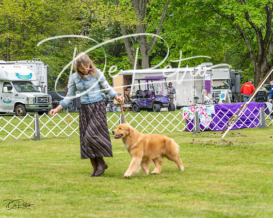 20230427-DSC03553