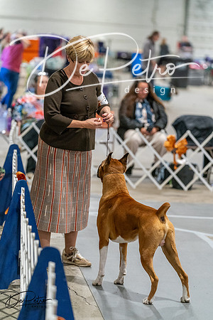 20261023-DSC05698