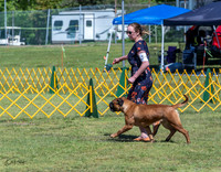 20230514-DSC03626
