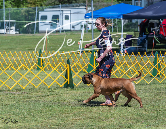 20230514-DSC03626