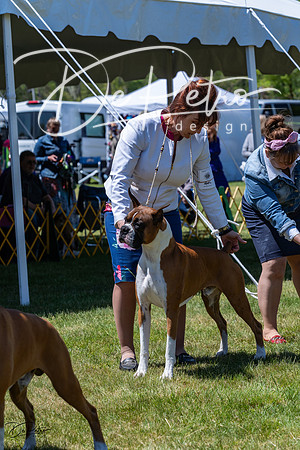 20230514-DSC04276