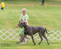 20250626-DSC04103
