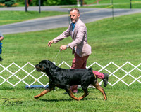 20250629-DSC09626