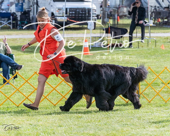 20230513-DSC00972