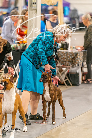 20261022-DSC00364