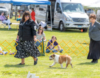 20230512-DSC03946