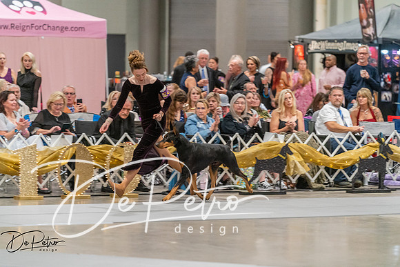 20260928-DSC06114