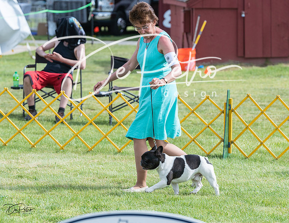 20230513-DSC00247