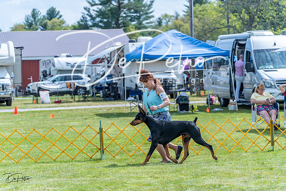 20230512-DSC04886