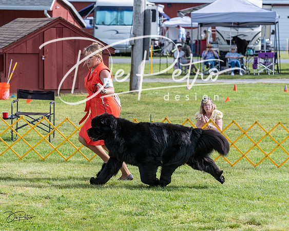 20230513-DSC00968
