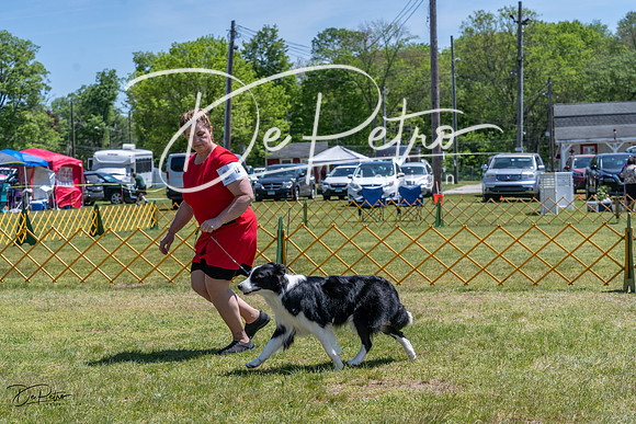 20230514-DSC04993