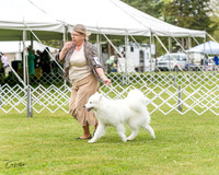20230427-DSC03081