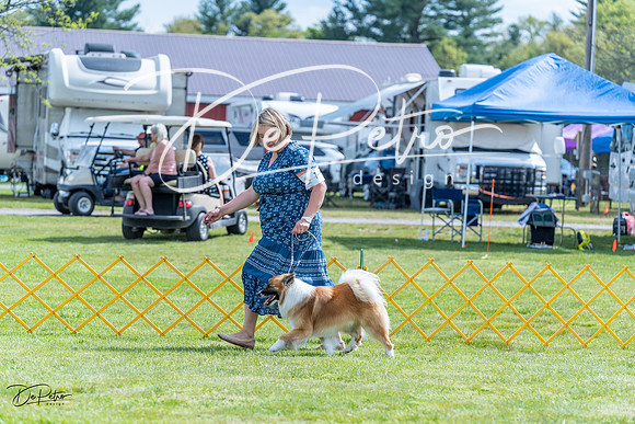 20230512-DSC05447