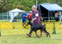 20230513-DSC08087