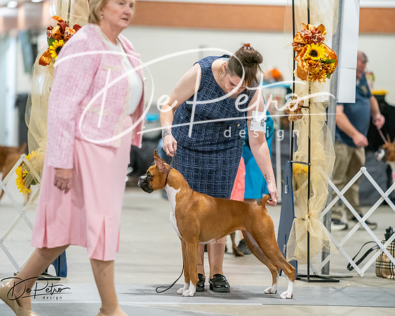 20261022-DSC03112