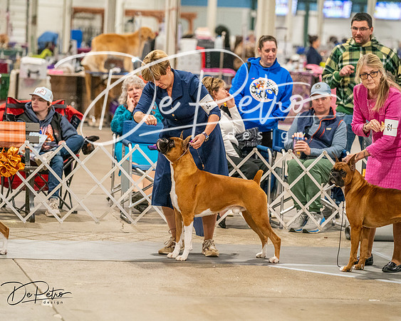 20261022-DSC02101