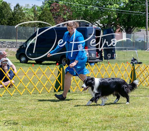 20230514-DSC04834