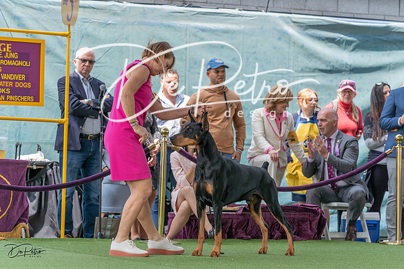 20230509-DSC01278