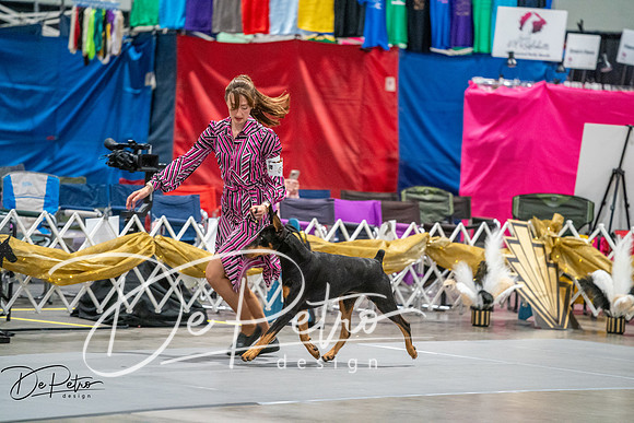 20260926-DSC04835