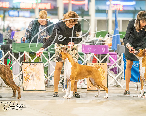 20261022-DSC01890