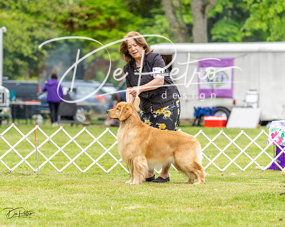 20230427-DSC03969
