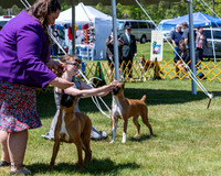 20230514-DSC03957