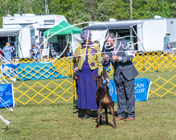 20230514-DSC03355