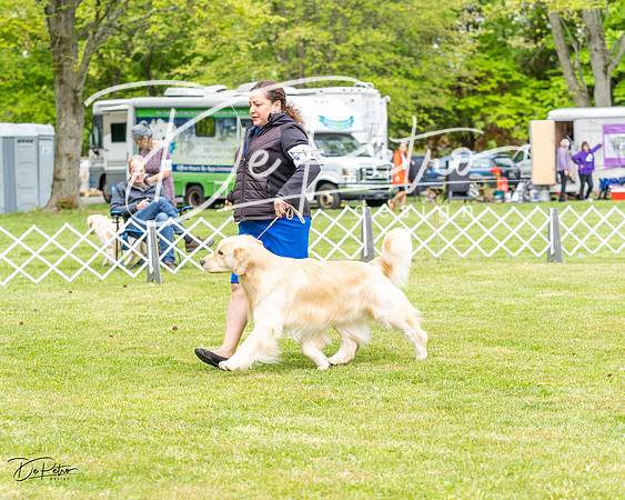 20230427-DSC03355