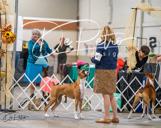 20261022-DSC03038