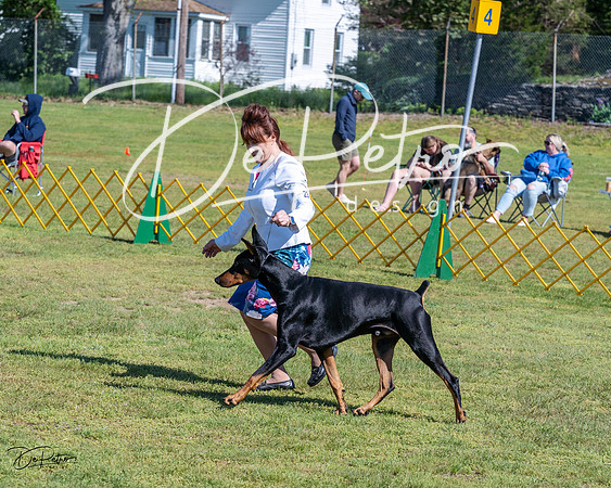 20230514-DSC03199