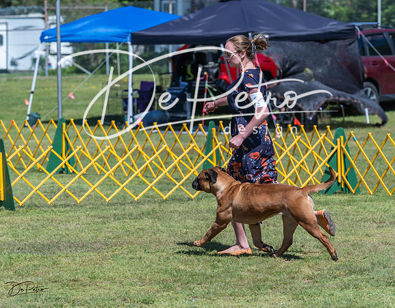 20230514-DSC03622
