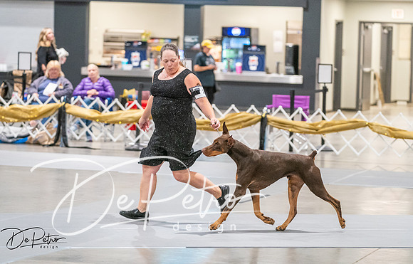 20260926-DSC04100